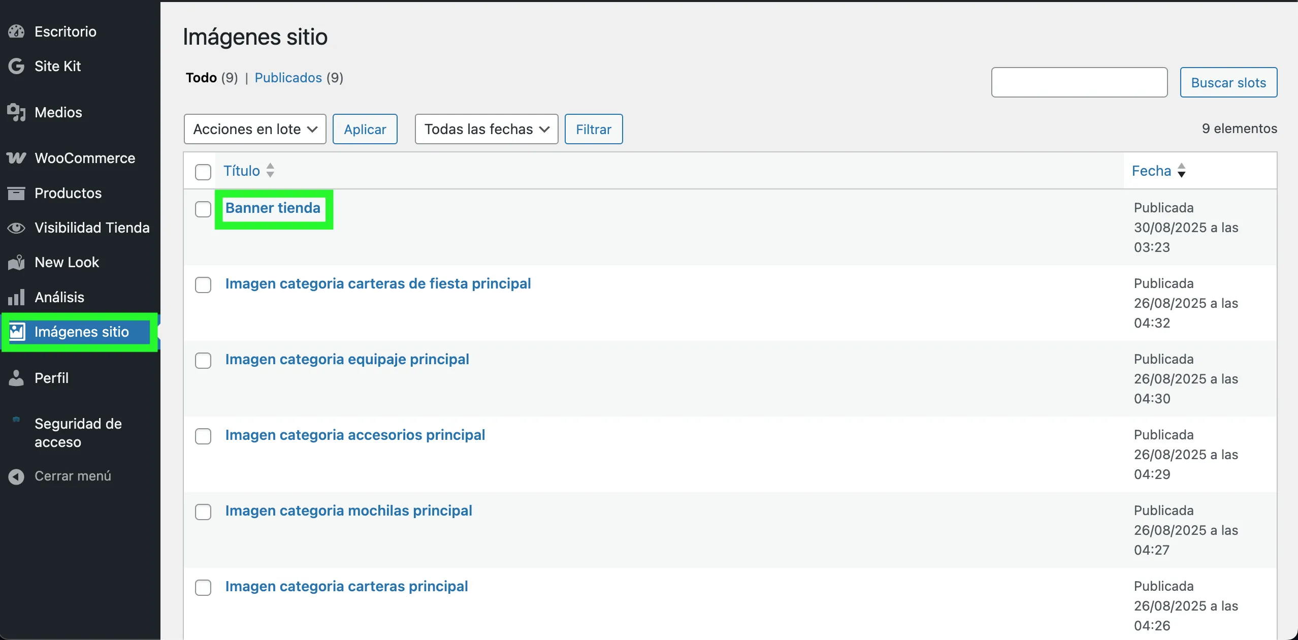 Lista de slots del plugin Imágenes sitio resaltando Banner tienda