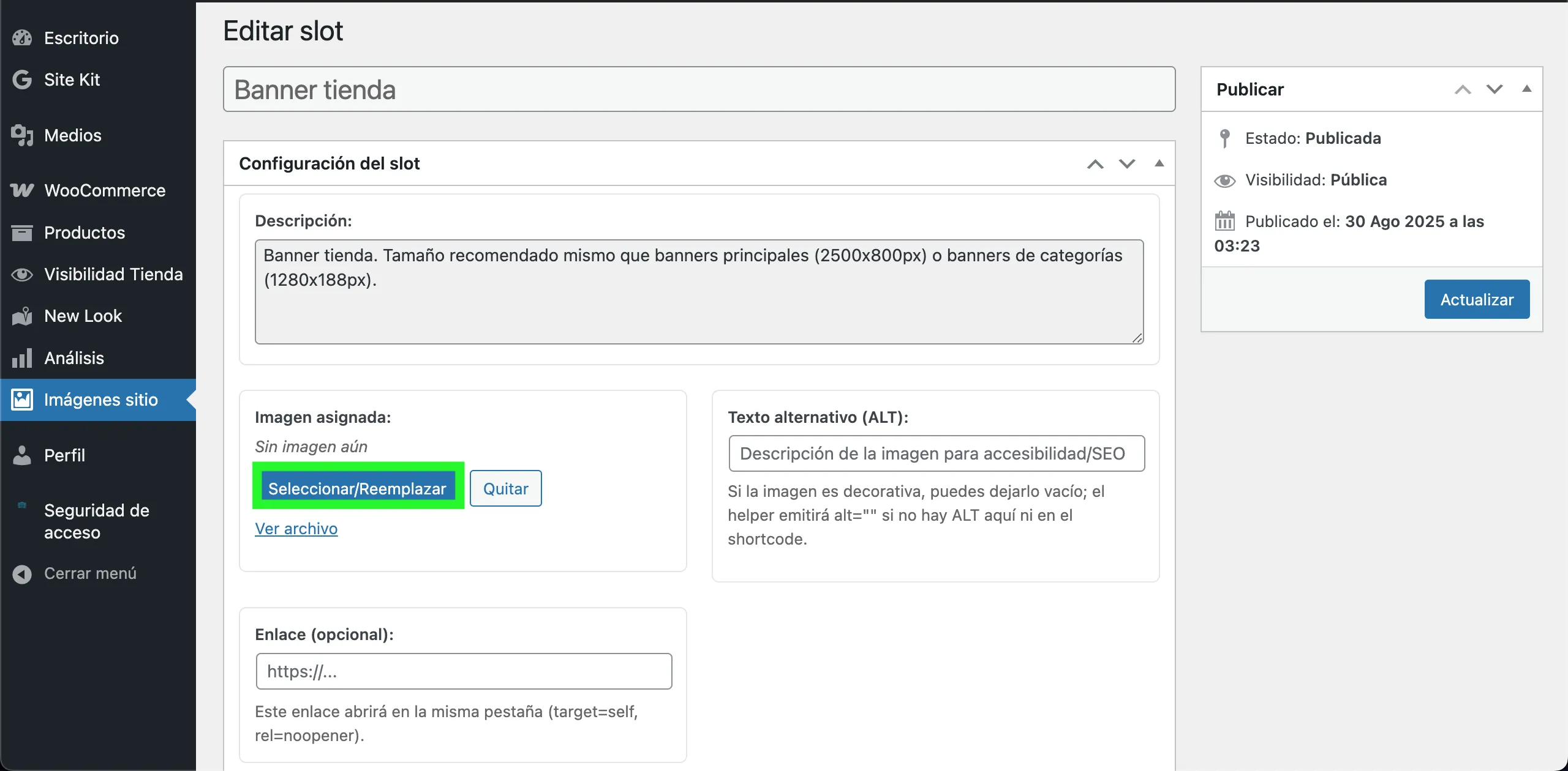 Botón Seleccionar/Reemplazar dentro del slot