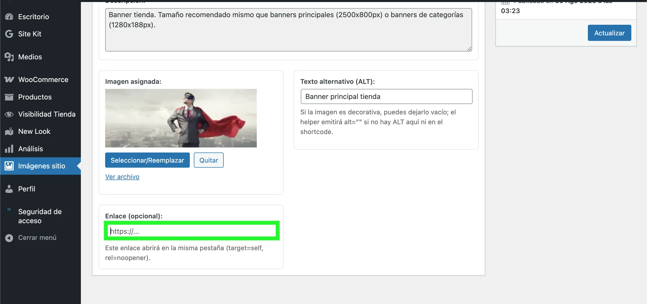 Campo de enlace opcional vacío listo para completar