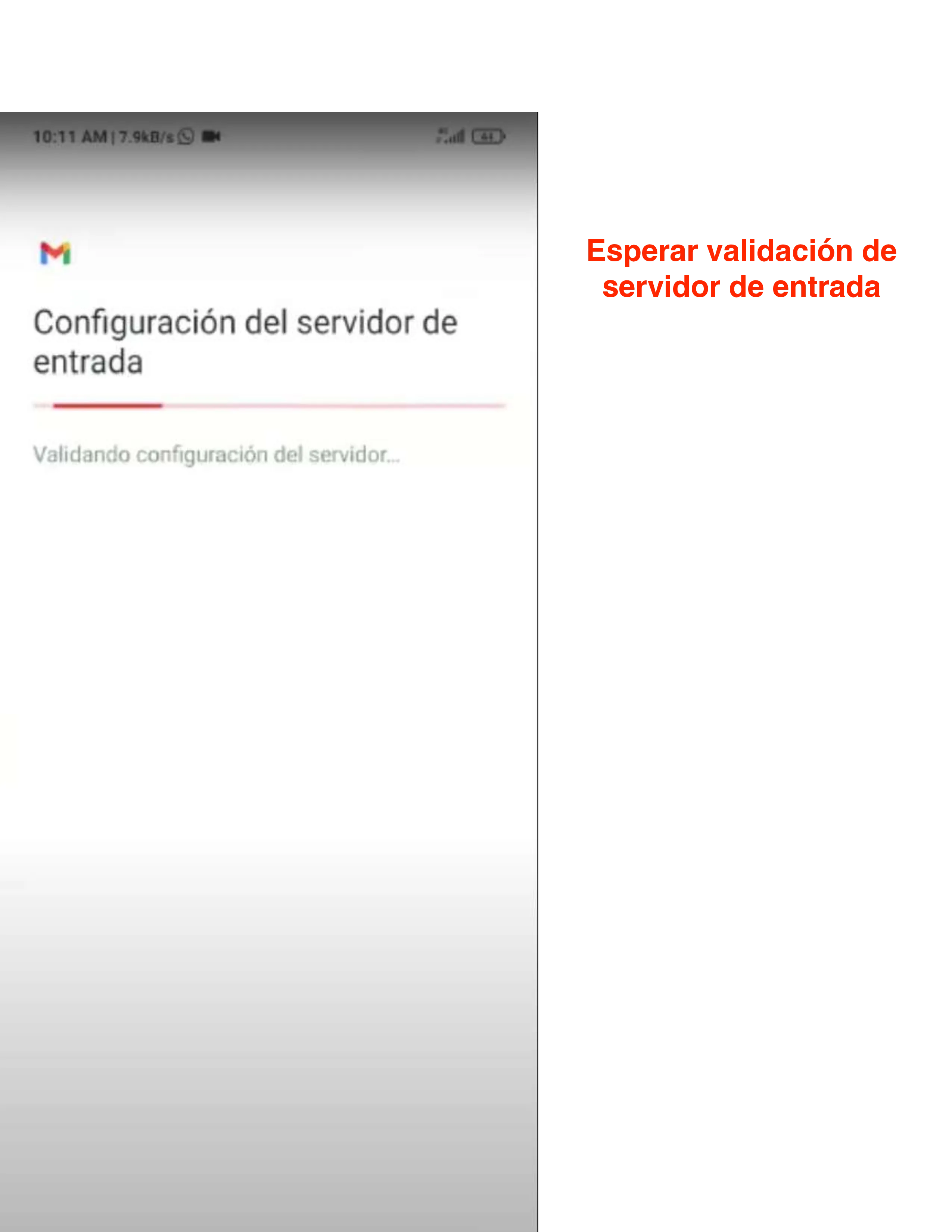 Pantalla de validación del servidor de entrada