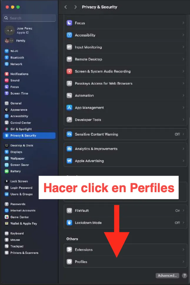 Acceder a la sección Profiles