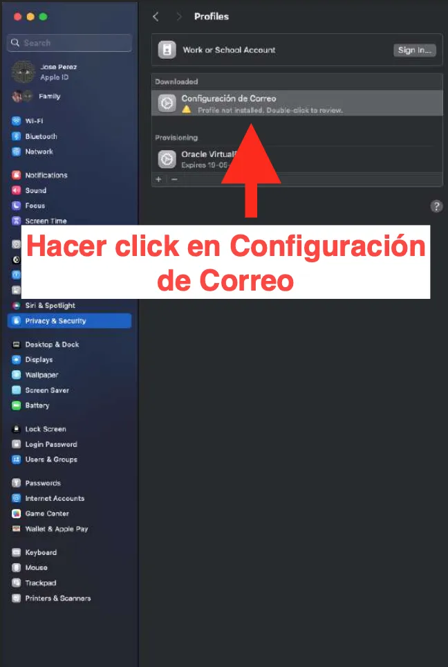 Seleccionar perfil de correo